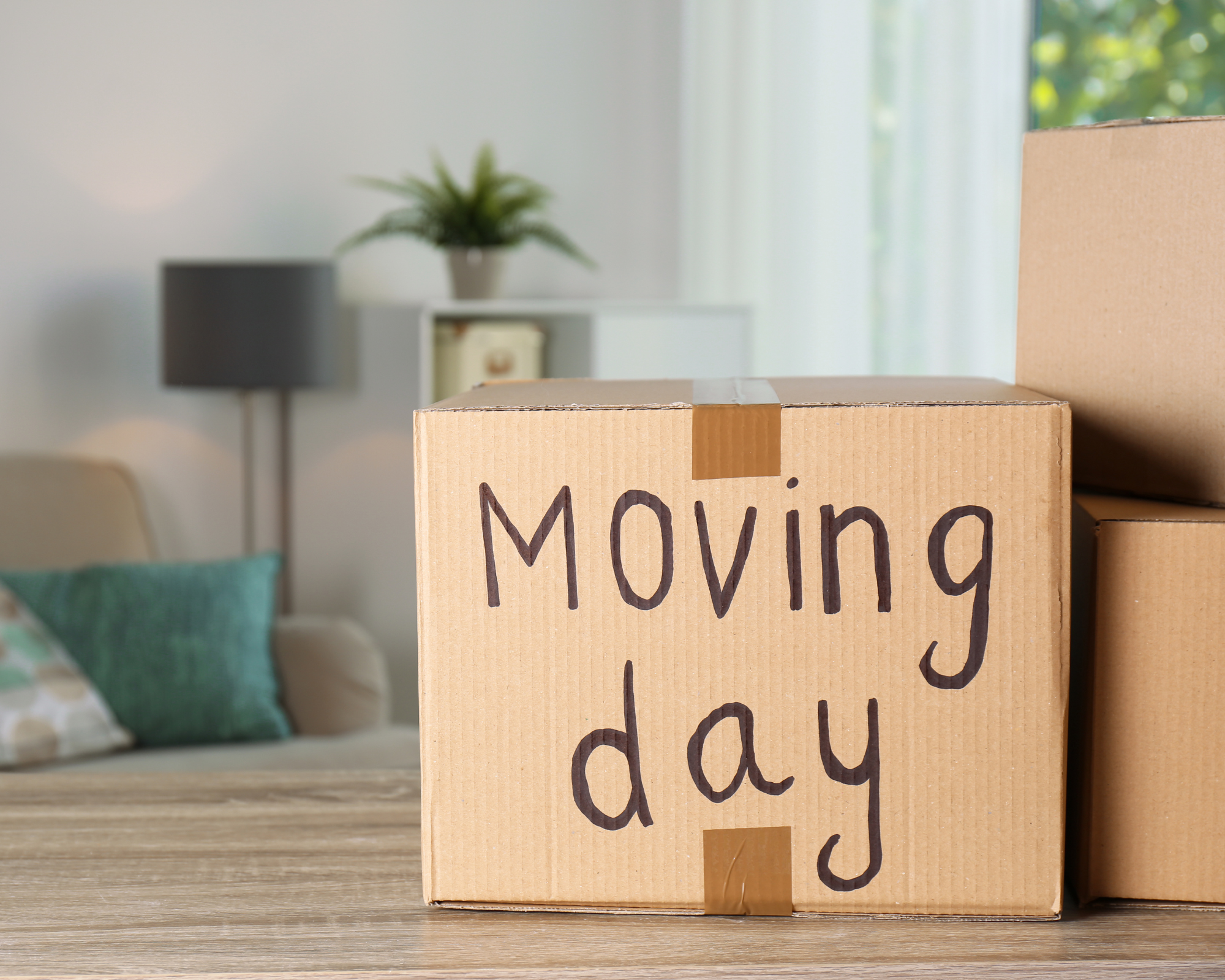 Move-in / Move-out cleaning